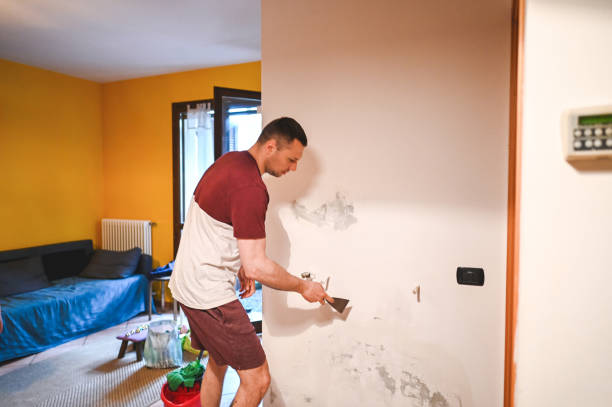 Best Attic Mold Remediation in Irwindale, CA